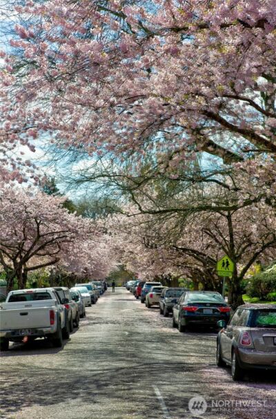 939 21st Avenue E, Seattle, WA 98112 - Photo 33