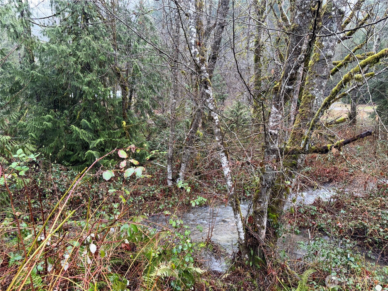 68116 NE 148th Street , Baring, WA 98224