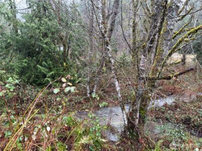 68116 NE 148th Street , Baring, WA 98224 - Photo 35