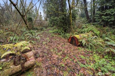 6830 Norma Beach Road , Edmonds, WA 98026 - Photo 26