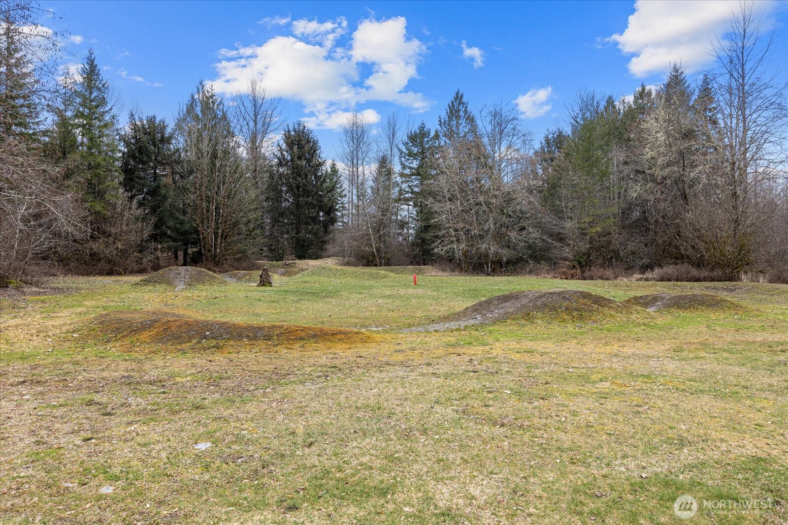 21 Drial Loop , Deming, WA 98244