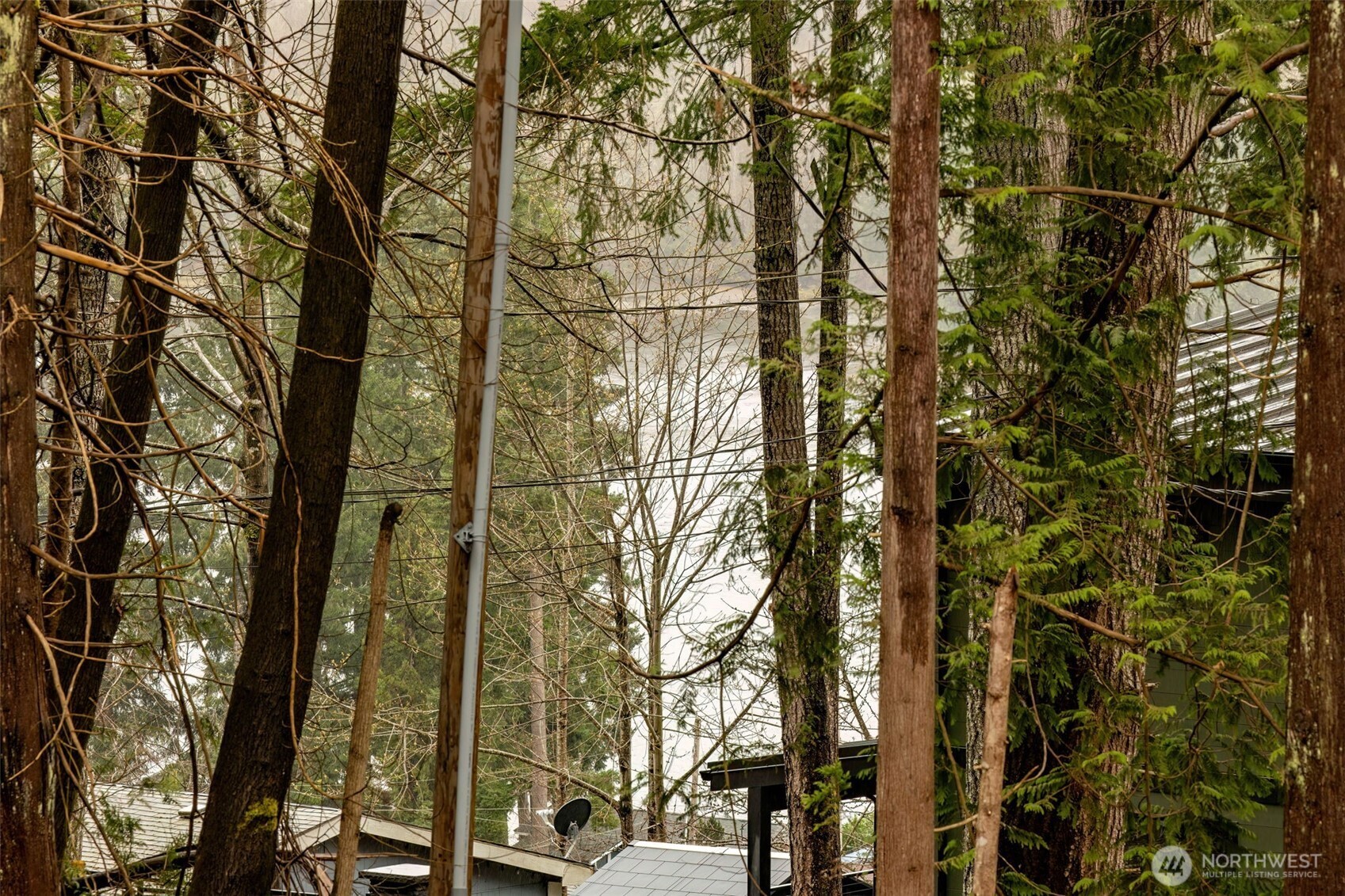 180 E Bridger Lane , Shelton, WA 98584