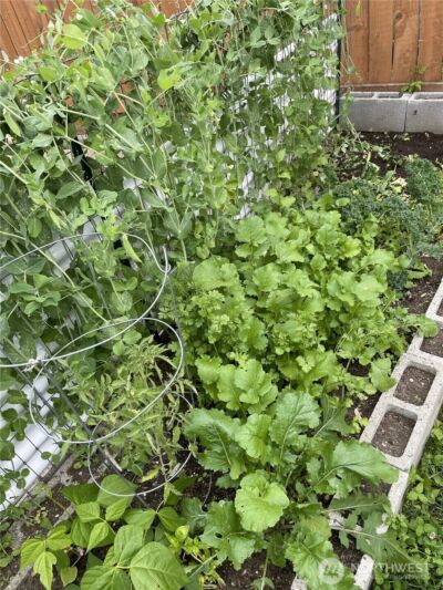 8365 Golden Valley Boulevard , Maple Falls, WA 98266 - Photo 26