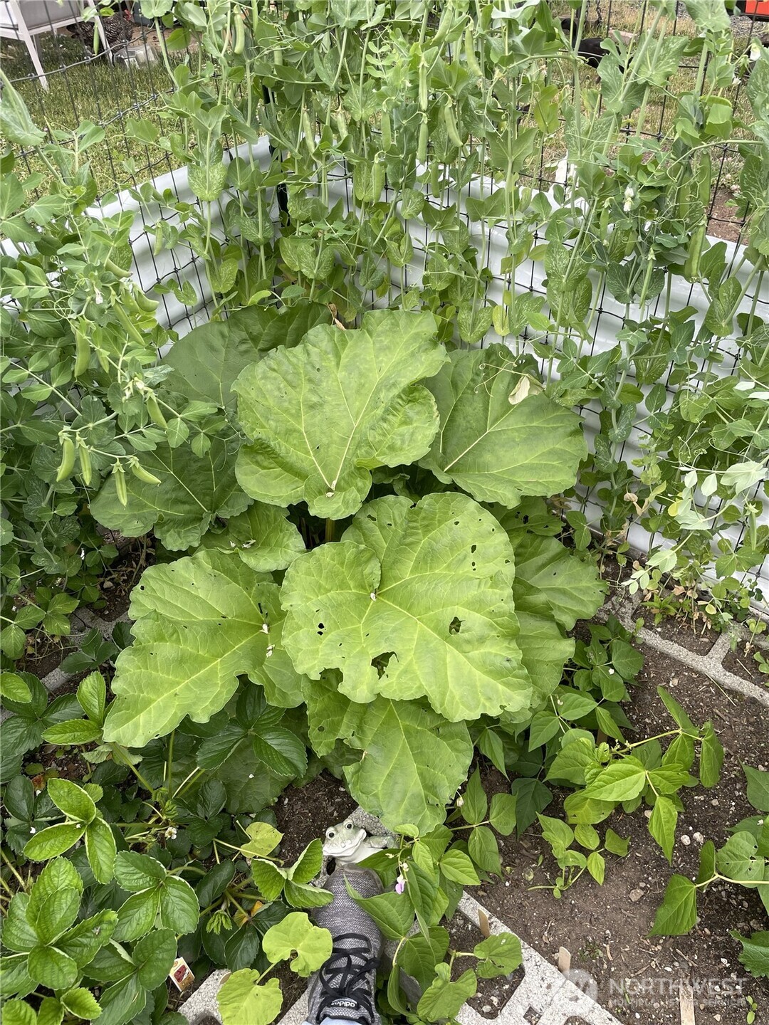 8365 Golden Valley Boulevard , Maple Falls, WA 98266