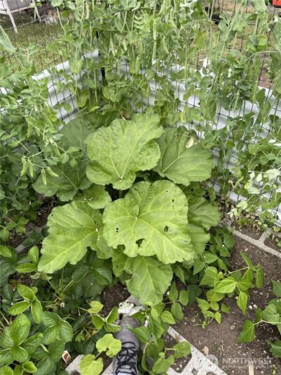 8365 Golden Valley Boulevard , Maple Falls, WA 98266 - Photo 28