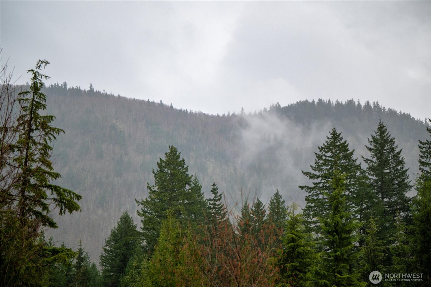 8365 Golden Valley Boulevard , Maple Falls, WA 98266