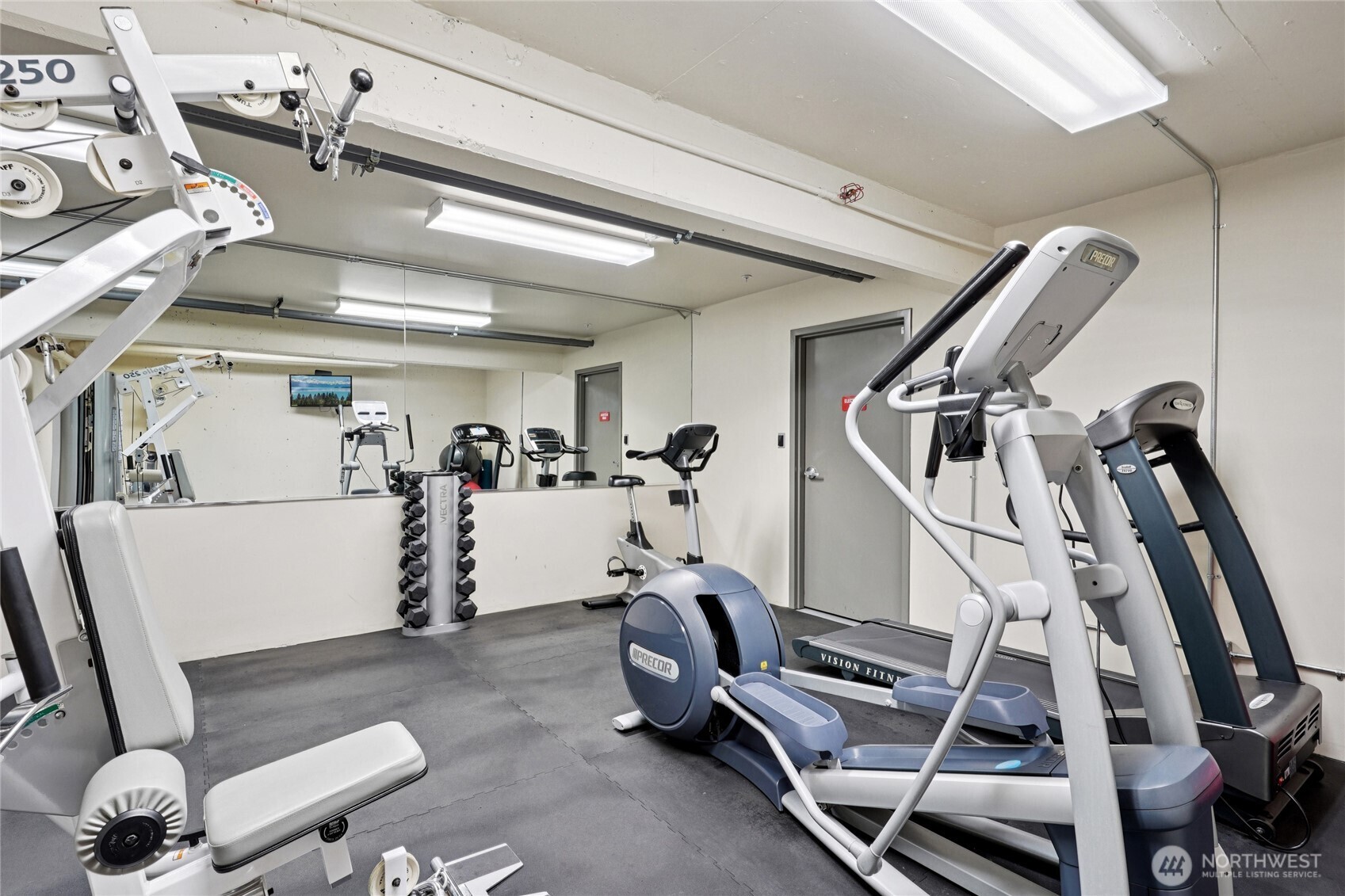 701 1st Avenue N #204, Seattle, WA 98109