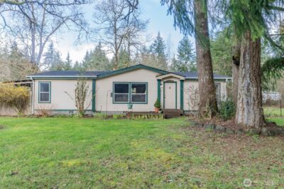 8040 Riffe Lane SW, Rochester, WA 98579 - Photo 2