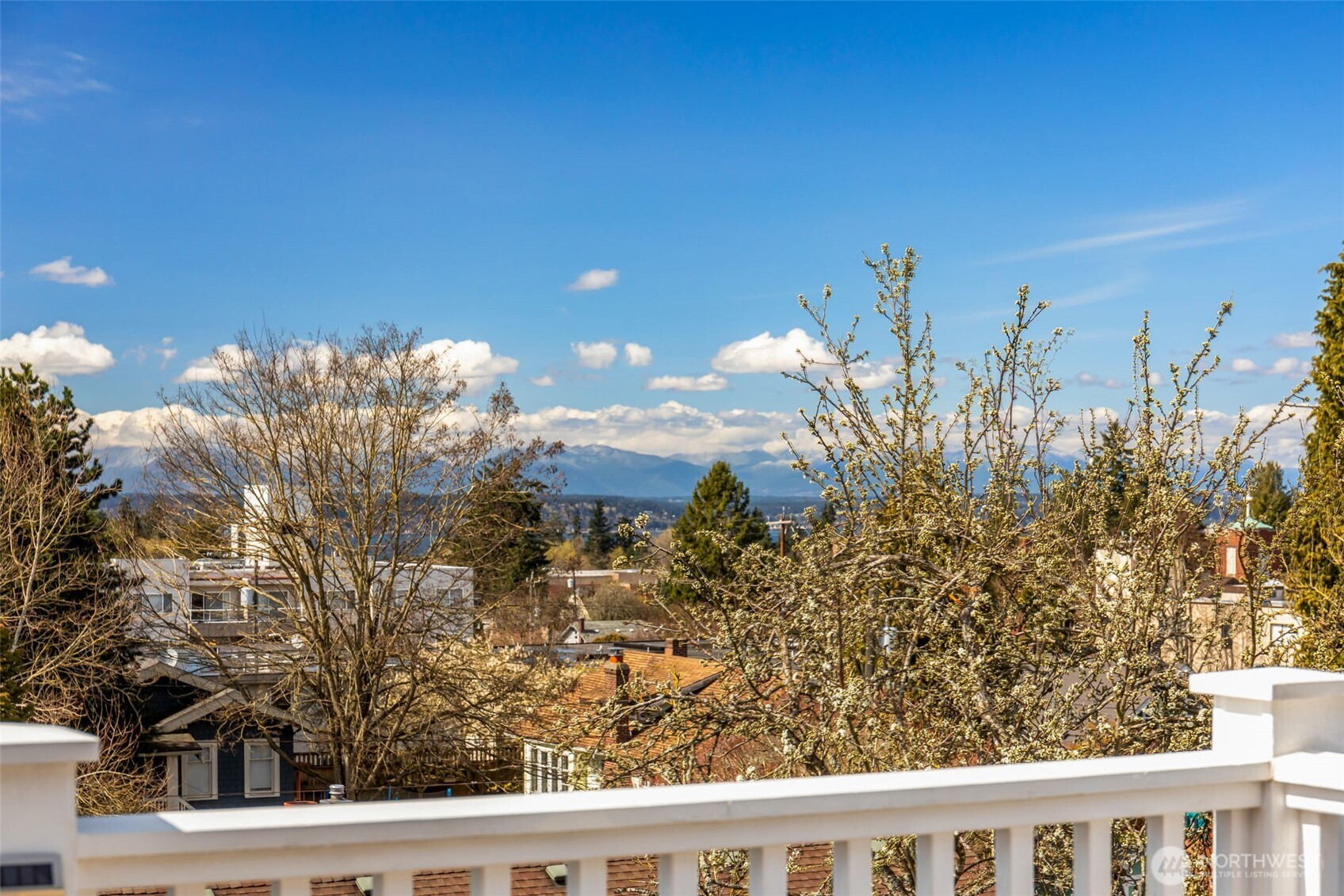 3723 41st Avenue SW, Seattle, WA 98116