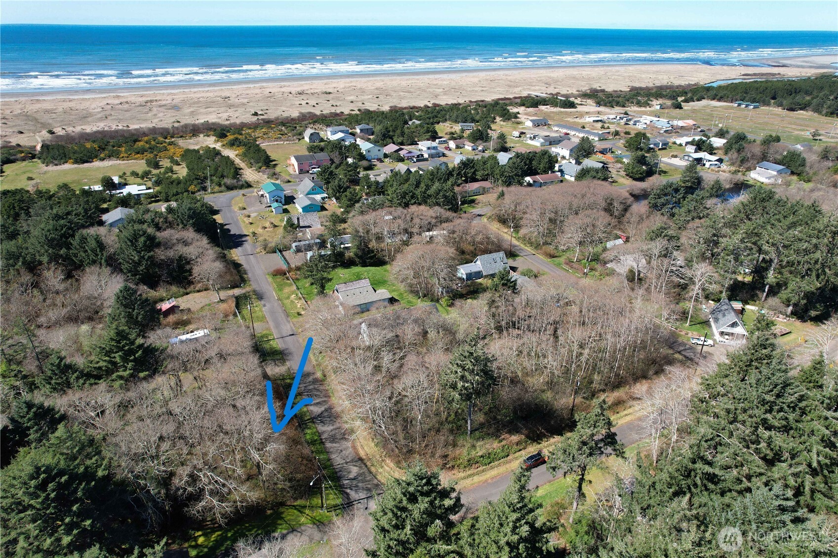 18 Woodland Drive , Copalis Beach, WA 98535