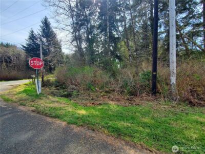 0 SR 109 , Copalis Beach, WA 98535 - Photo 2