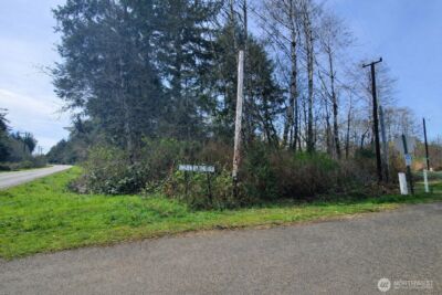 0 SR 109 , Copalis Beach, WA 98535 - Photo 3