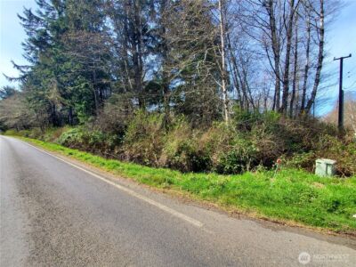 0 SR 109 , Copalis Beach, WA 98535 - Photo 4