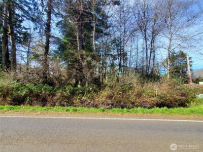 0 SR 109 , Copalis Beach, WA 98535 - Photo 5