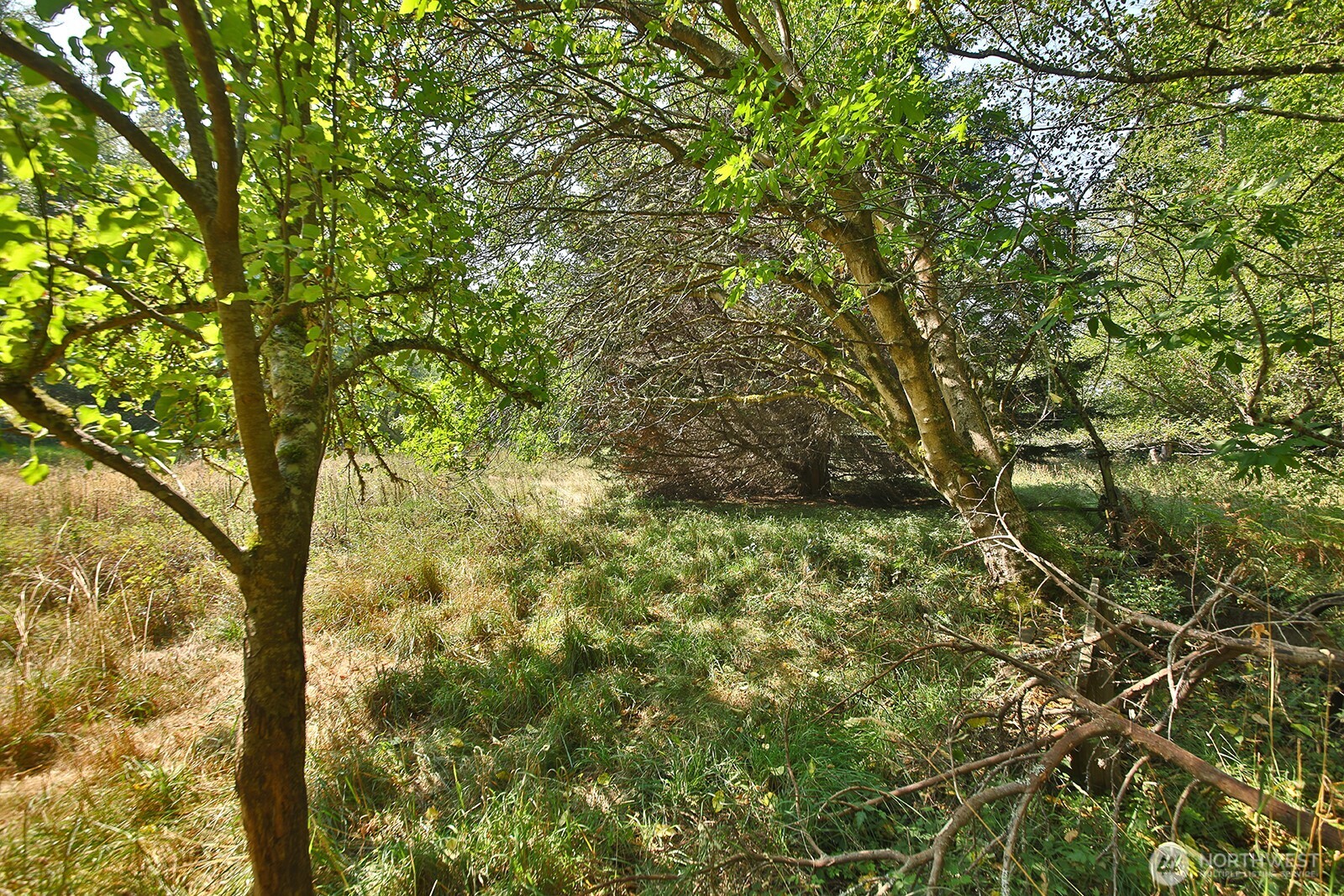 0 xxx Farmer Lane , Freeland, WA 98249