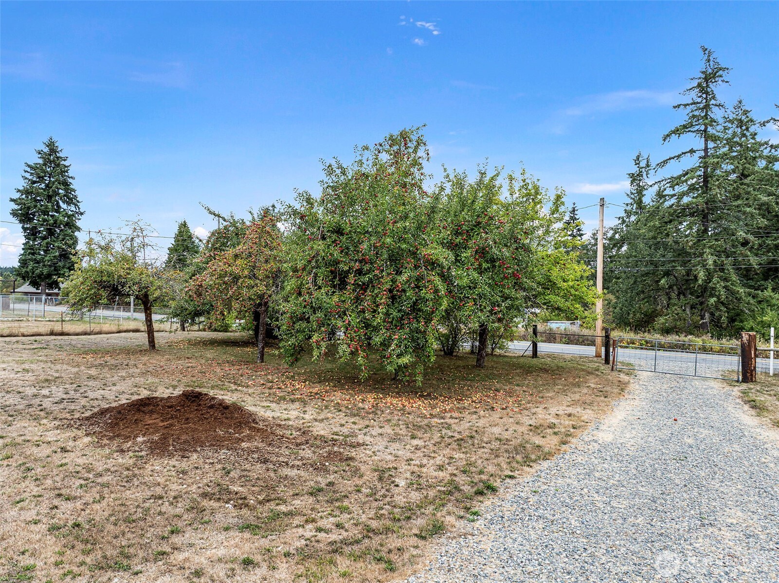 7804 280th Street S, Roy, WA 98580