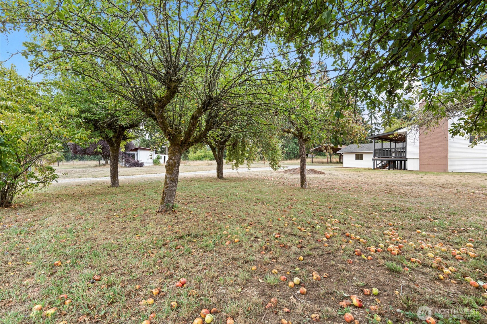 7804 280th Street S, Roy, WA 98580