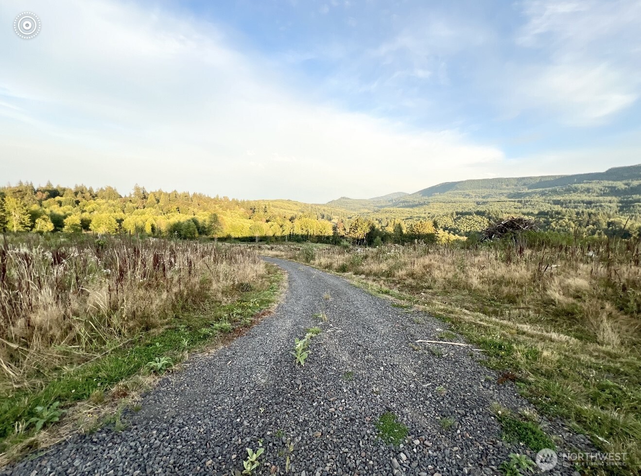 195 Hagen #82 Road , Mossyrock, WA 98564