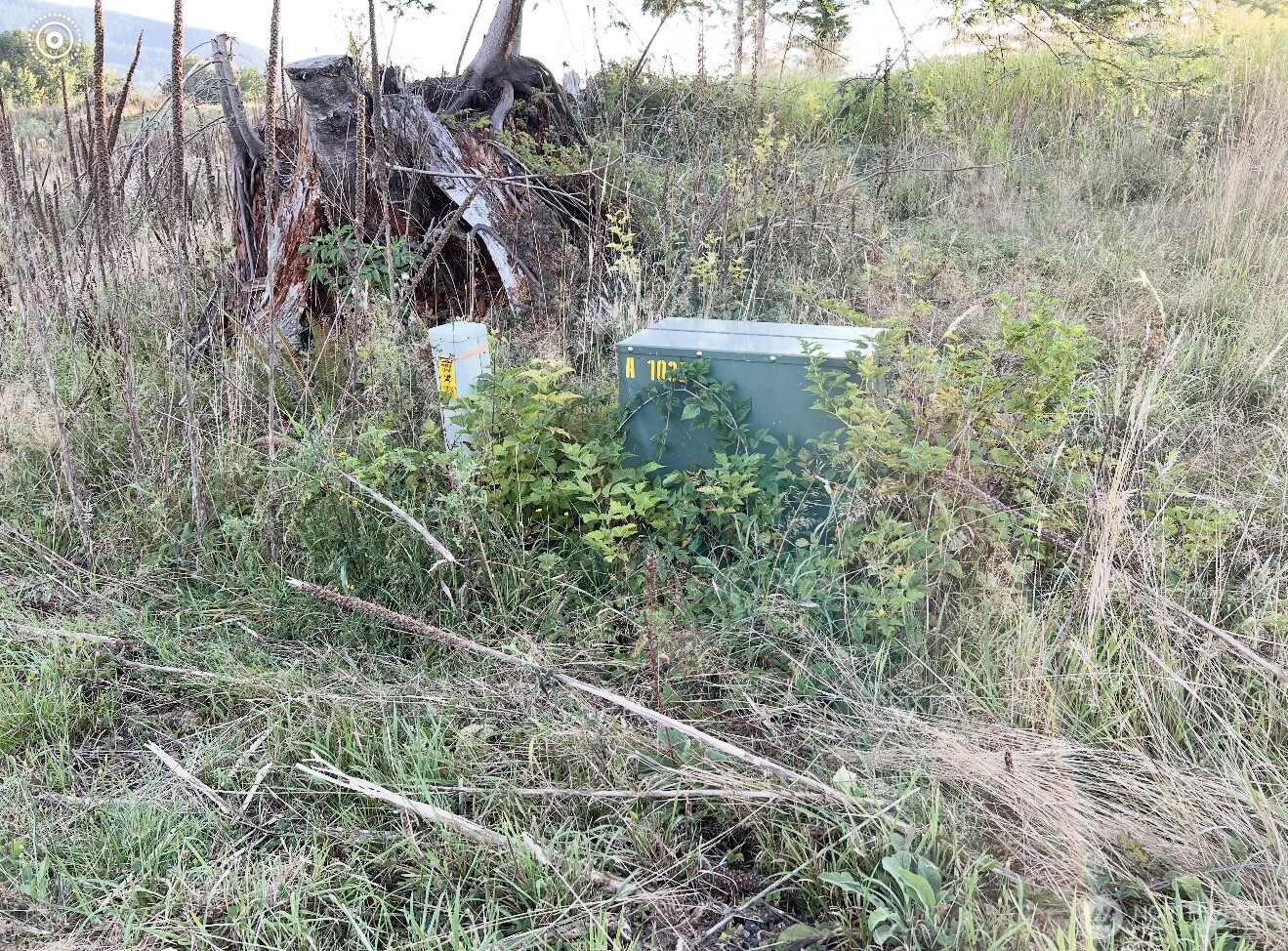 195 Hagen #82 Road , Mossyrock, WA 98564