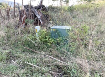 195 Hagen #82 Road , Mossyrock, WA 98564 - Photo 3