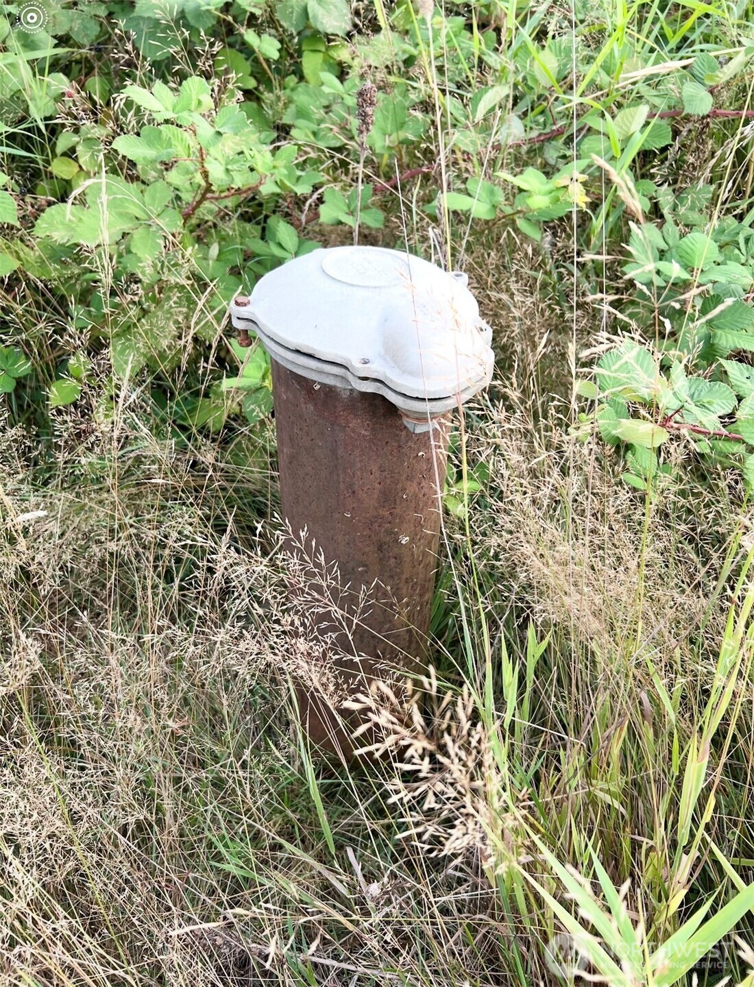 195 Hagen #82 Road , Mossyrock, WA 98564