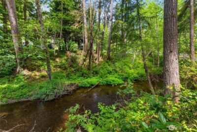 0 E Olde Lyme Road , Shelton, WA 98584 - Photo 1