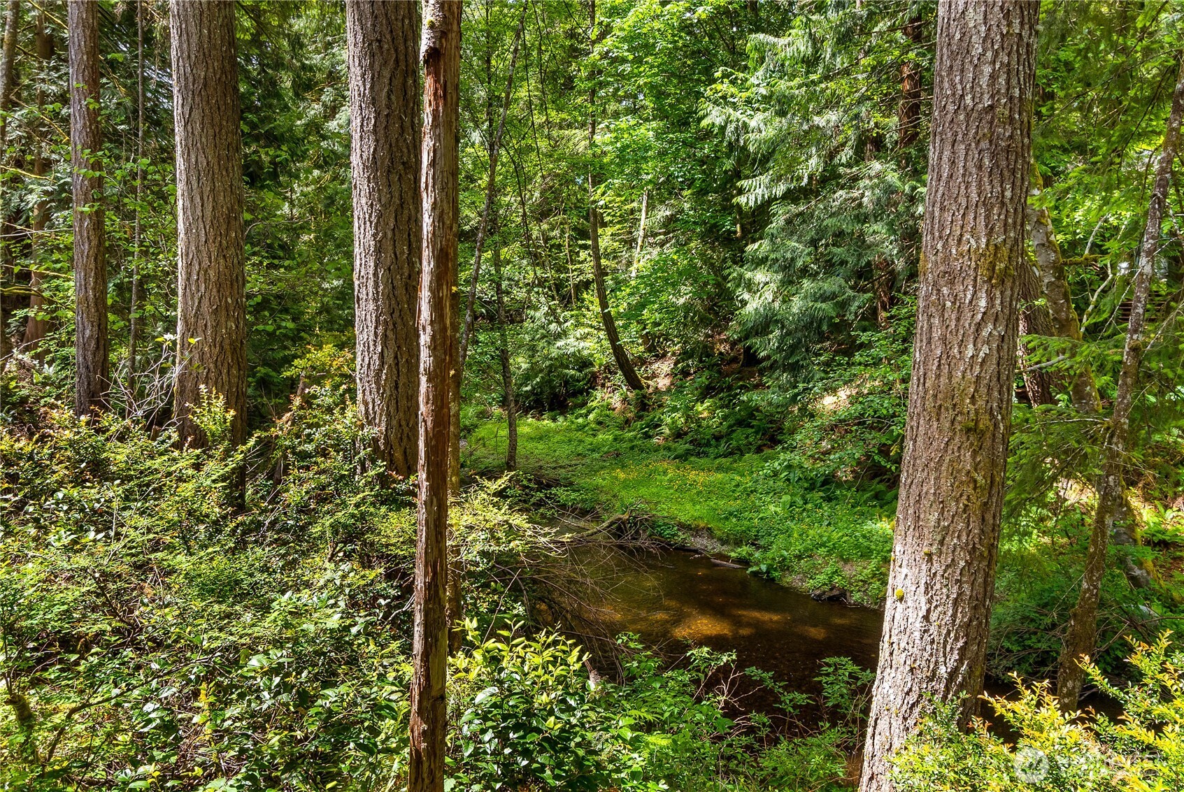 0 E Olde Lyme Road , Shelton, WA 98584