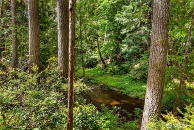 0 E Olde Lyme Road , Shelton, WA 98584 - Photo 4