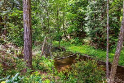 0 E Olde Lyme Road , Shelton, WA 98584 - Photo 5
