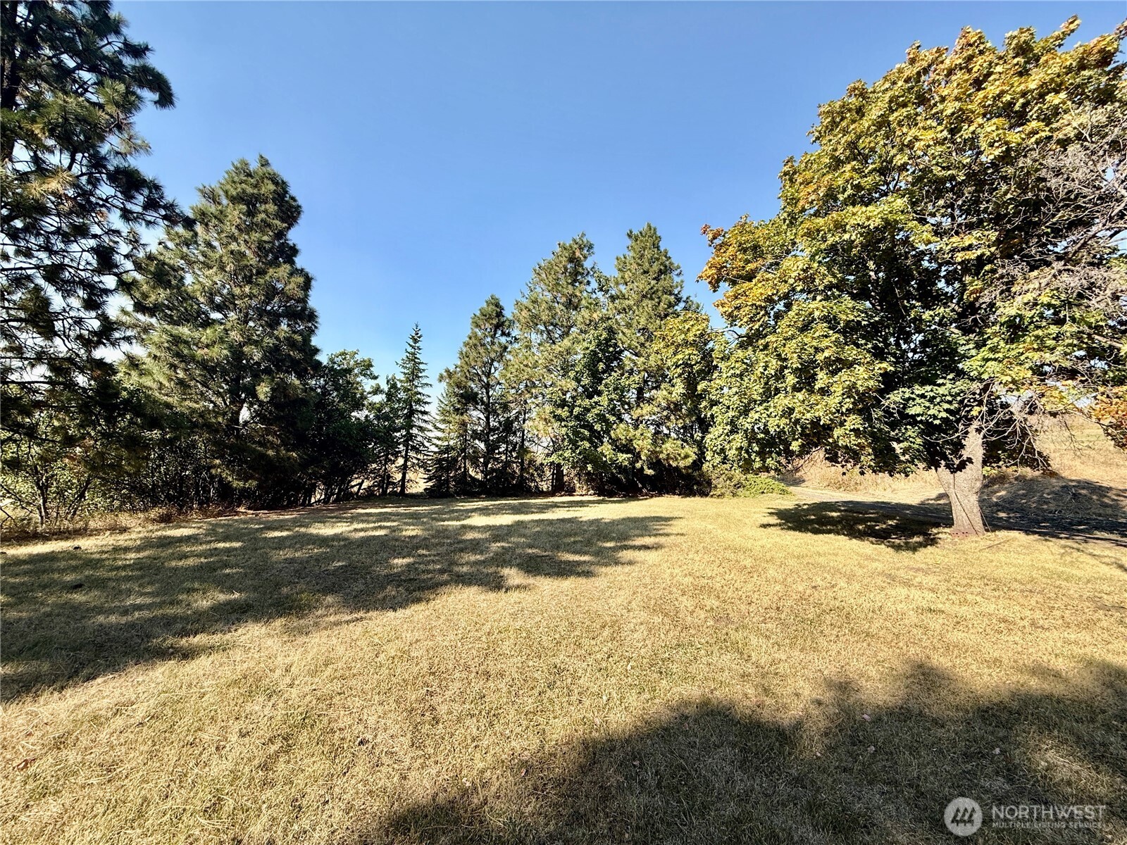 348 Hatley Gulch Road , Dayton, WA 99328