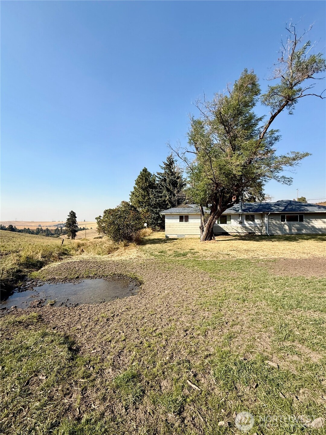 348 Hatley Gulch Road , Dayton, WA 99328