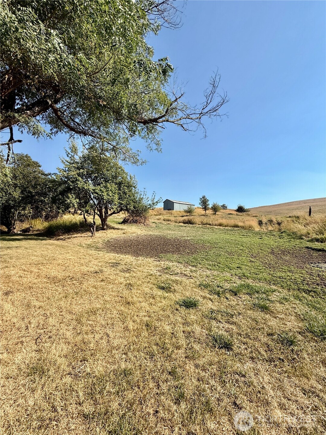 348 Hatley Gulch Road , Dayton, WA 99328