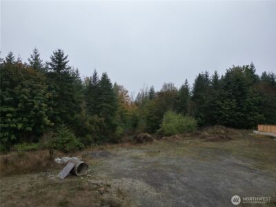 9999 Valley Creek Dr. , Port Angeles, WA 98362 - Photo 2