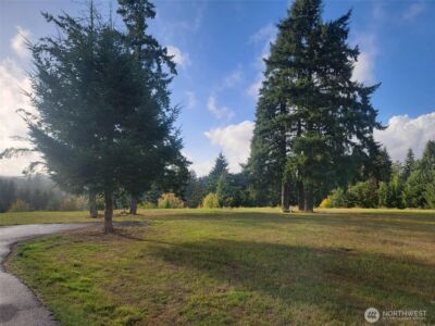 0 NE 1st Street , Winlock, WA 98596 - Photo 3