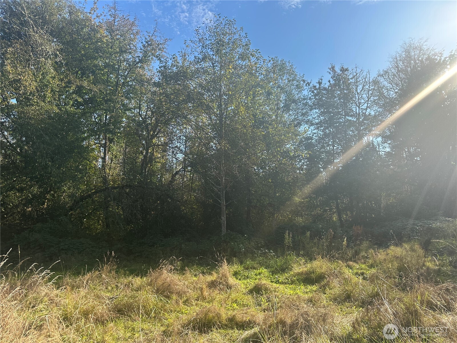 45450 State Route 20 , Concrete, WA 98237
