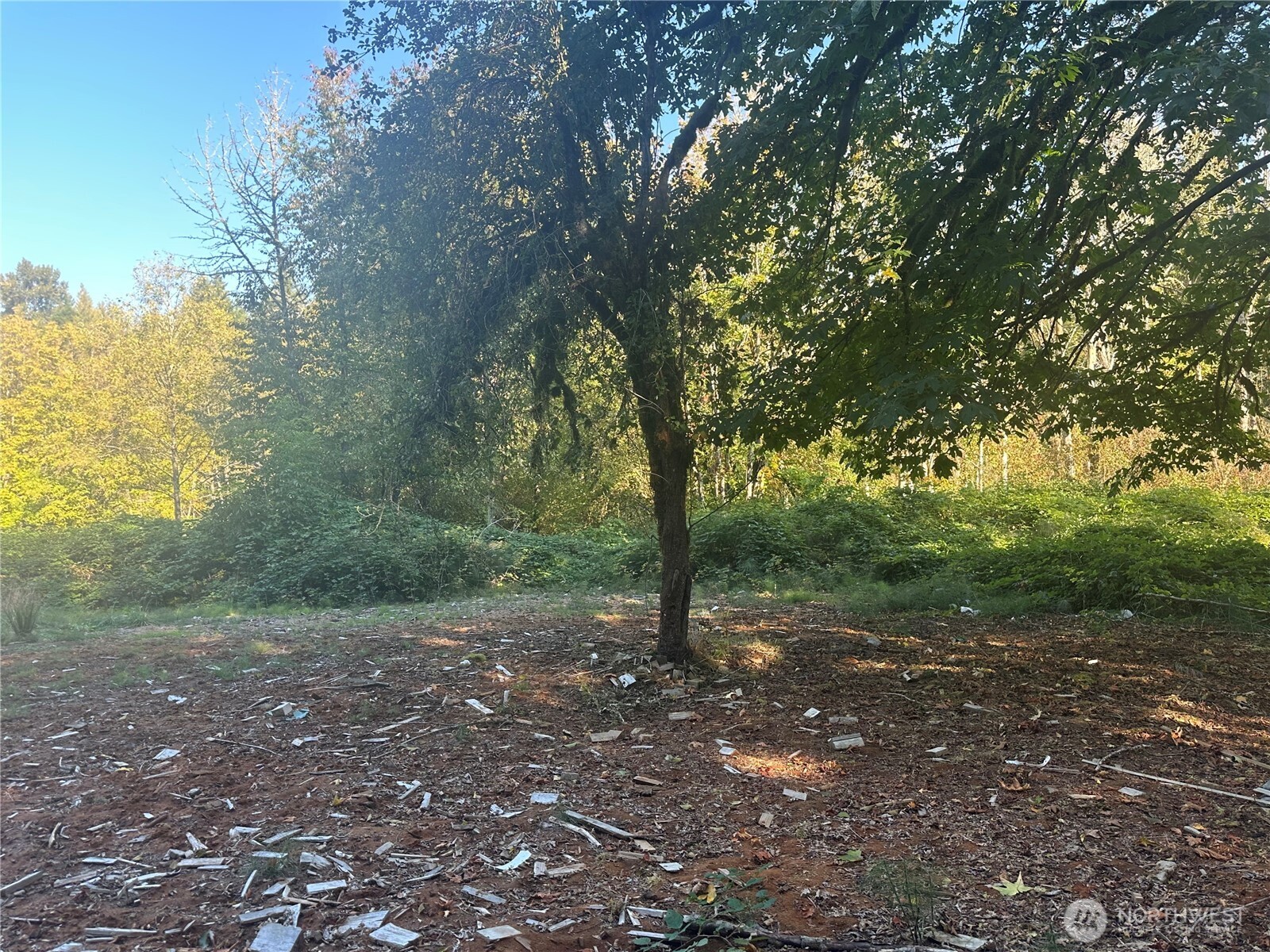 45450 State Route 20 , Concrete, WA 98237