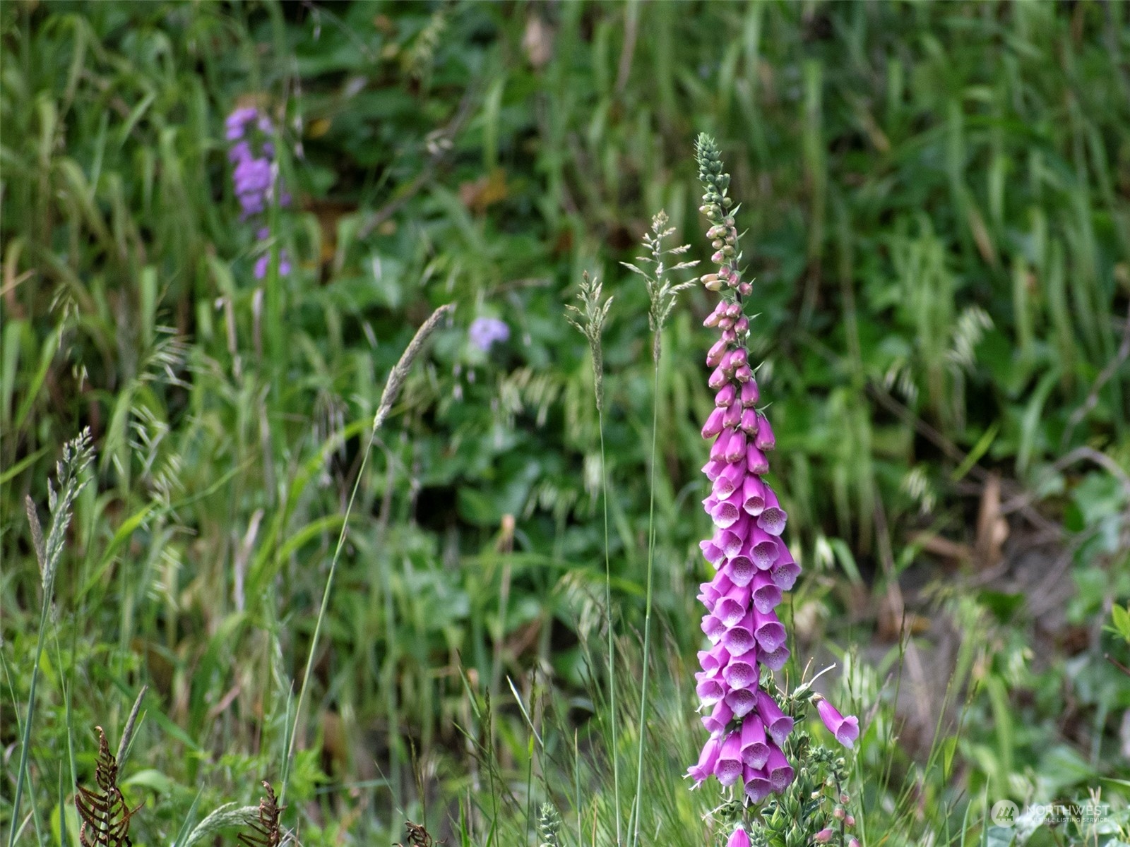 9999 E Railroad Avenue , Port Angeles, WA 98362