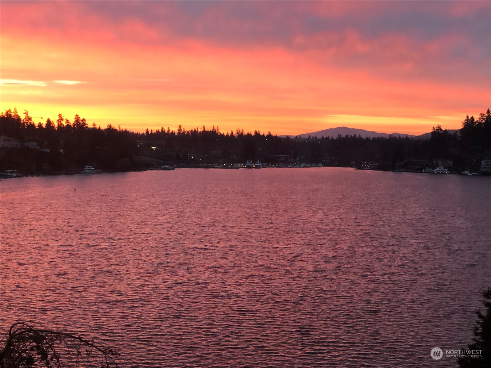450 Overlake Drive E, Medina, WA 98039