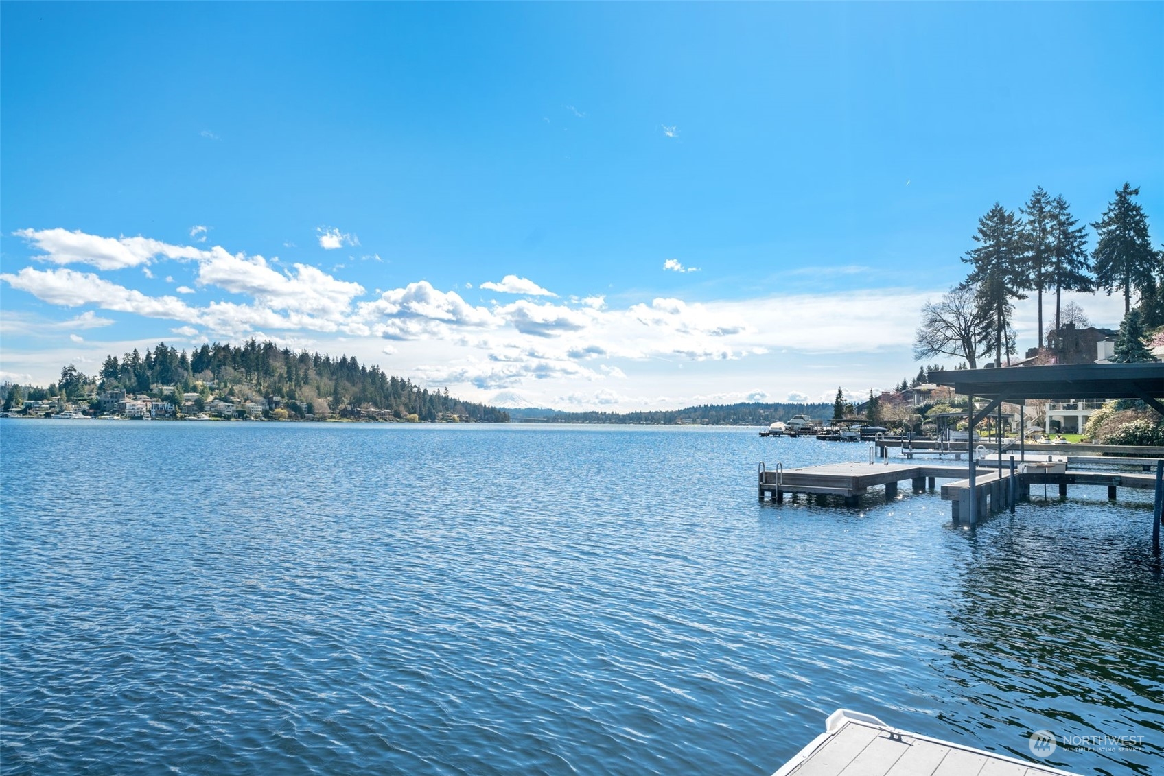 450 Overlake Drive E, Medina, WA 98039