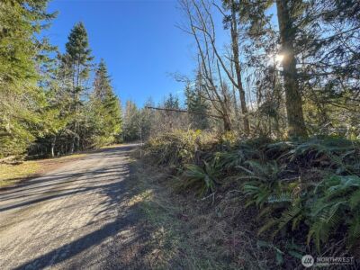 0 E Angeles Ridge Road , Port Angeles, WA 98362 - Photo 11