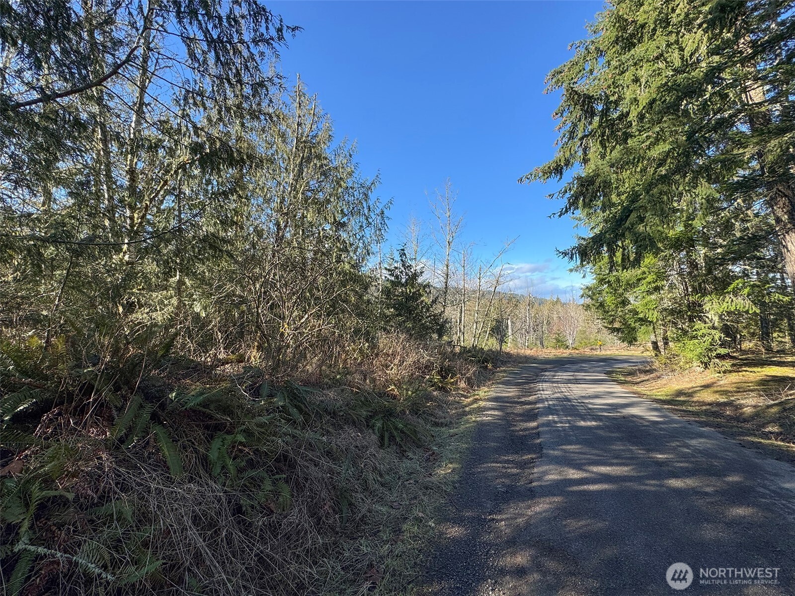 0 E Angeles Ridge Road , Port Angeles, WA 98362
