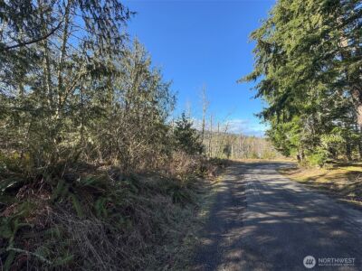 0 E Angeles Ridge Road , Port Angeles, WA 98362 - Photo 12