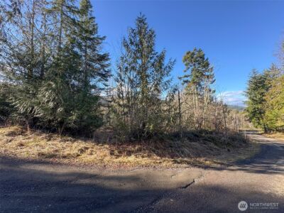 0 E Angeles Ridge Road , Port Angeles, WA 98362 - Photo 13