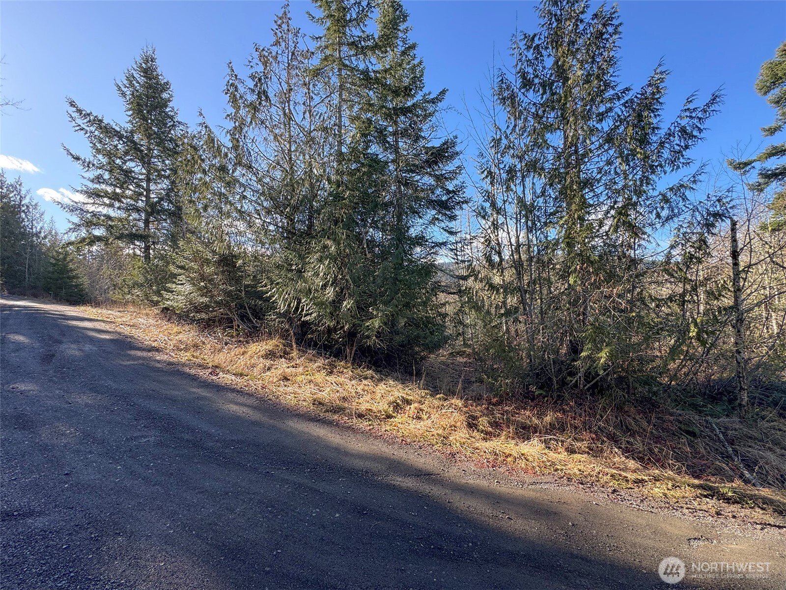 0 E Angeles Ridge Road , Port Angeles, WA 98362