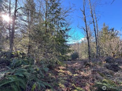 0 E Angeles Ridge Road , Port Angeles, WA 98362 - Photo 15