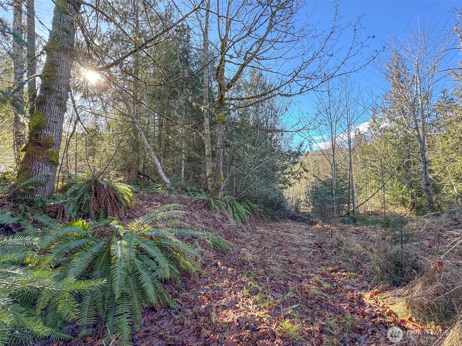 0 E Angeles Ridge Road , Port Angeles, WA 98362