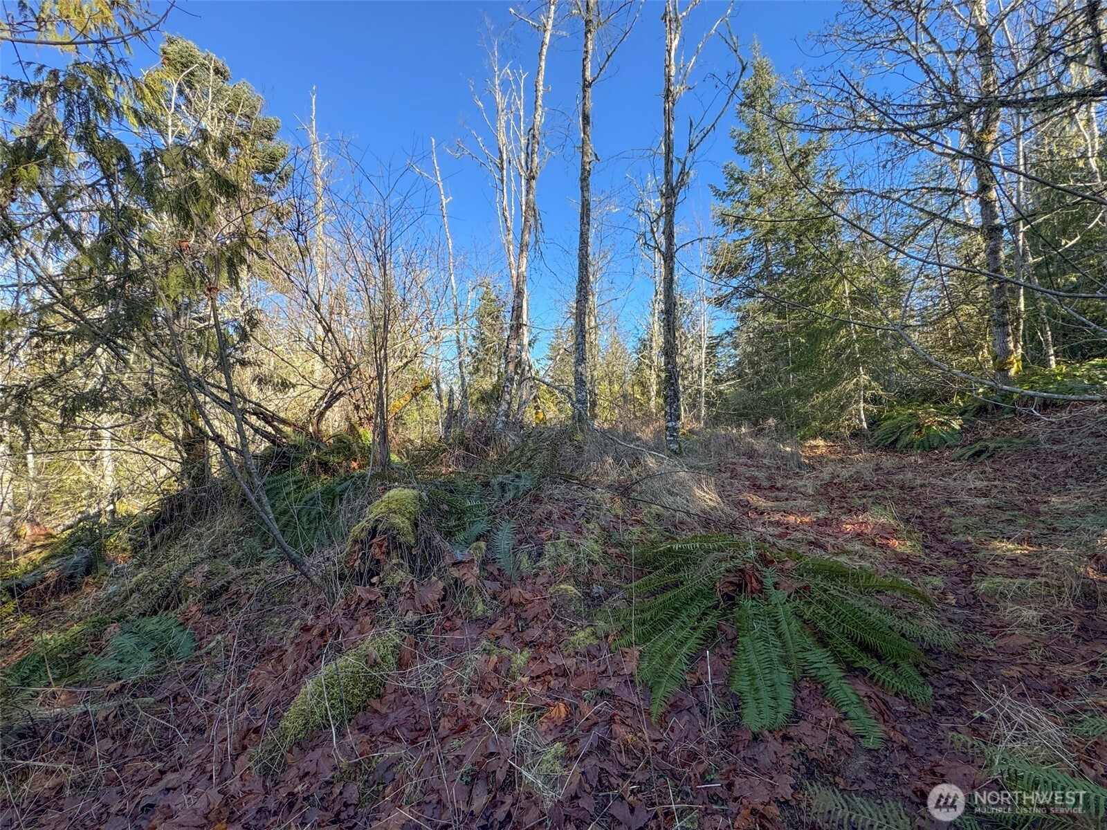 0 E Angeles Ridge Road , Port Angeles, WA 98362