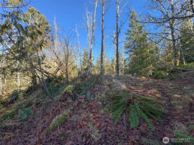 0 E Angeles Ridge Road , Port Angeles, WA 98362 - Photo 17