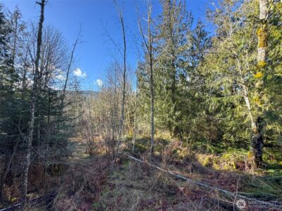 0 E Angeles Ridge Road , Port Angeles, WA 98362 - Photo 18