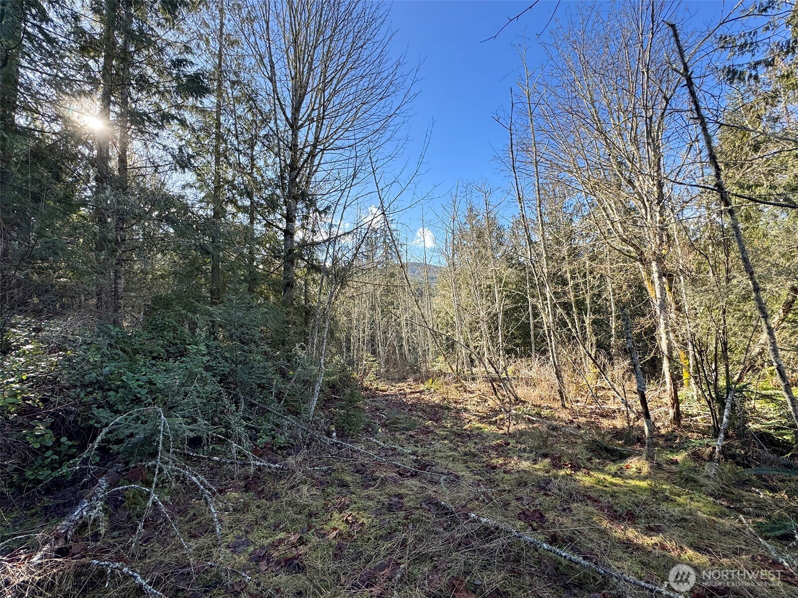 0 E Angeles Ridge Road , Port Angeles, WA 98362